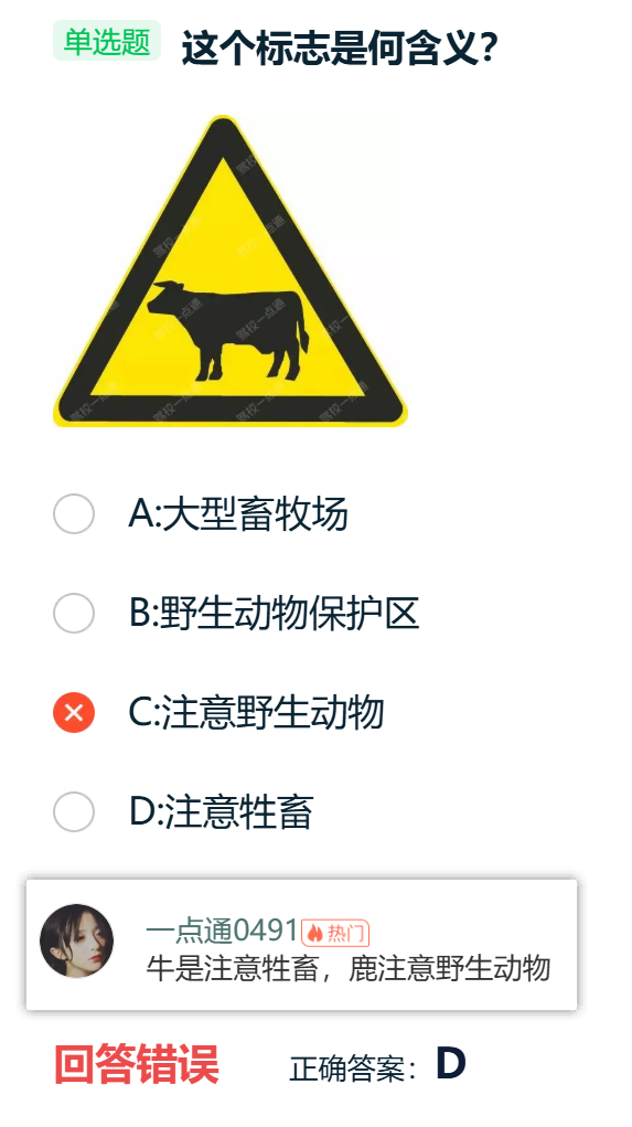 image-20260117135259848